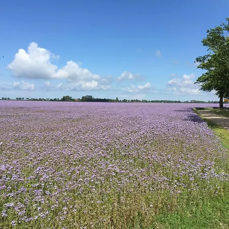 Strandhotel 4* ドランスケ